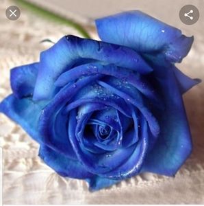 Meet your Posher, Marci